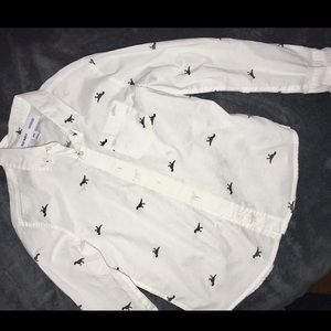 Boys M (8) long sleeve cotton dinosaur shirt